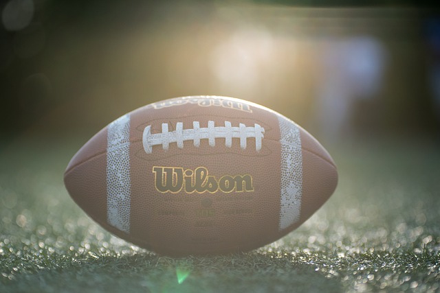 不少球迷感 不少球迷感