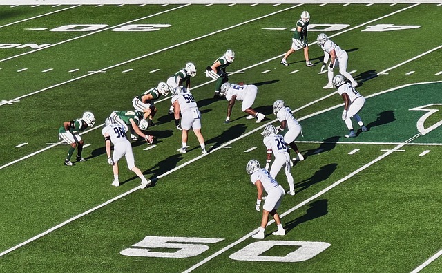 不仅为这场 不仅为这场