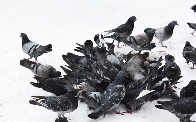 憂心